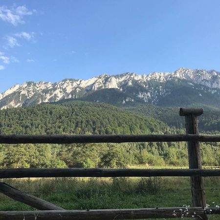 Pensiunea Kyfana Zărneşti 外观 照片