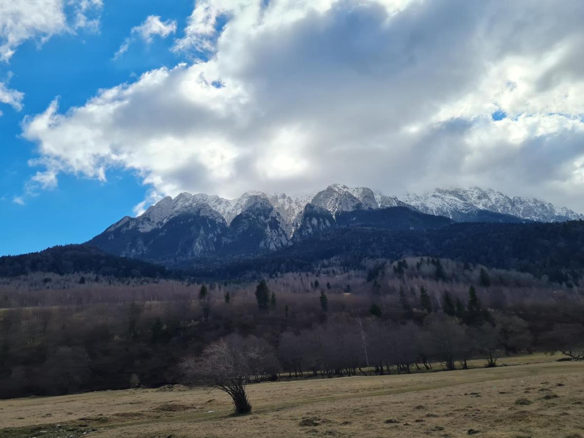 Pensiunea Kyfana Zărneşti 外观 照片