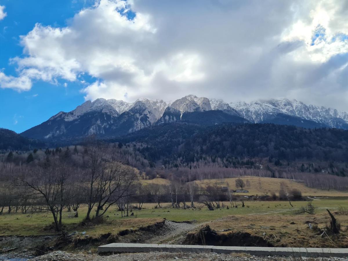 Pensiunea Kyfana Zărneşti 外观 照片