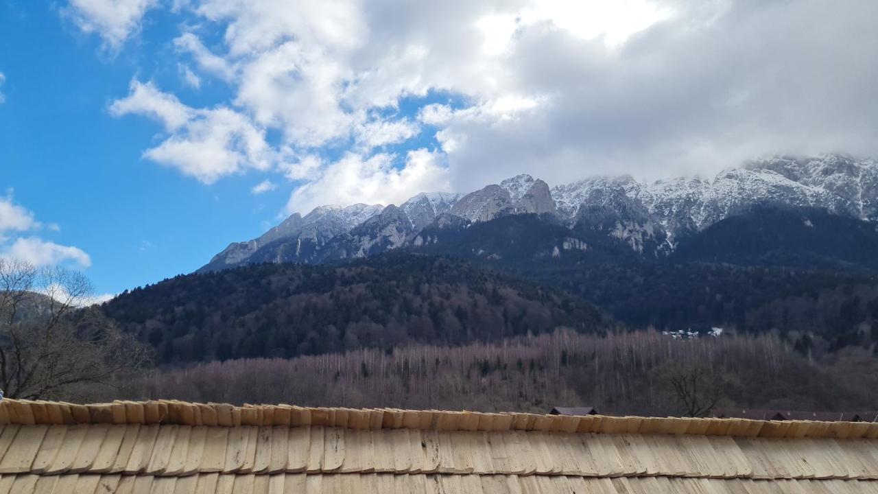 Pensiunea Kyfana Zărneşti 外观 照片