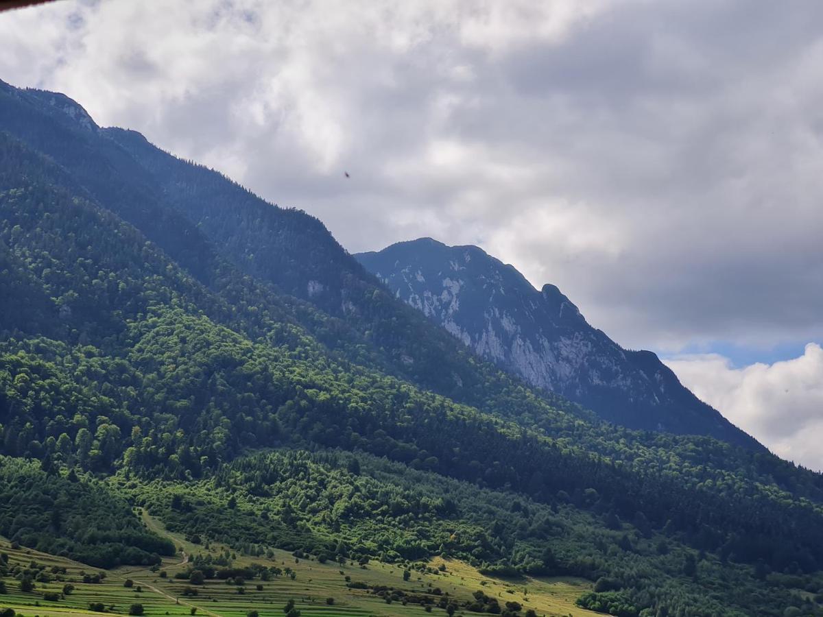Pensiunea Kyfana Zărneşti 外观 照片