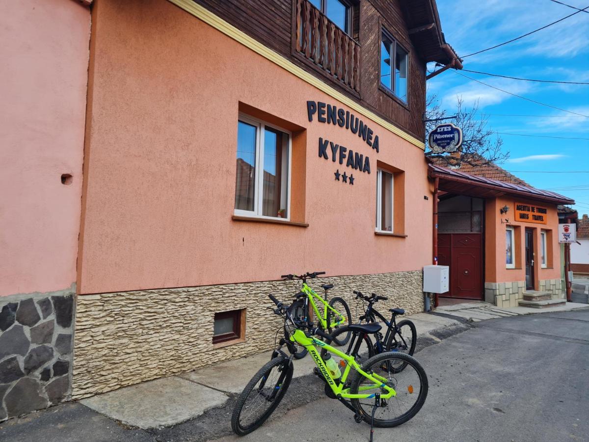 Pensiunea Kyfana Zărneşti 外观 照片