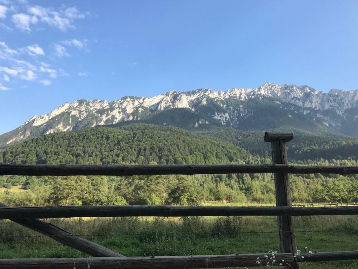 Pensiunea Kyfana Zărneşti 外观 照片